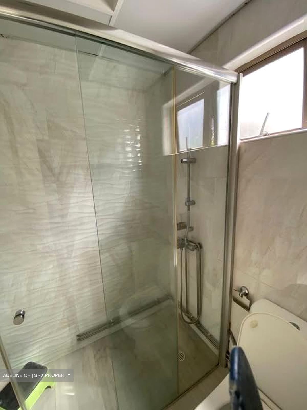Buona Vista Gardens (D5), Condominium #583985011